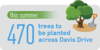 This summer, 470 trees to be planted across Davis Drive