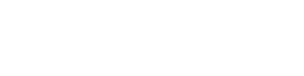 vivaNext logo